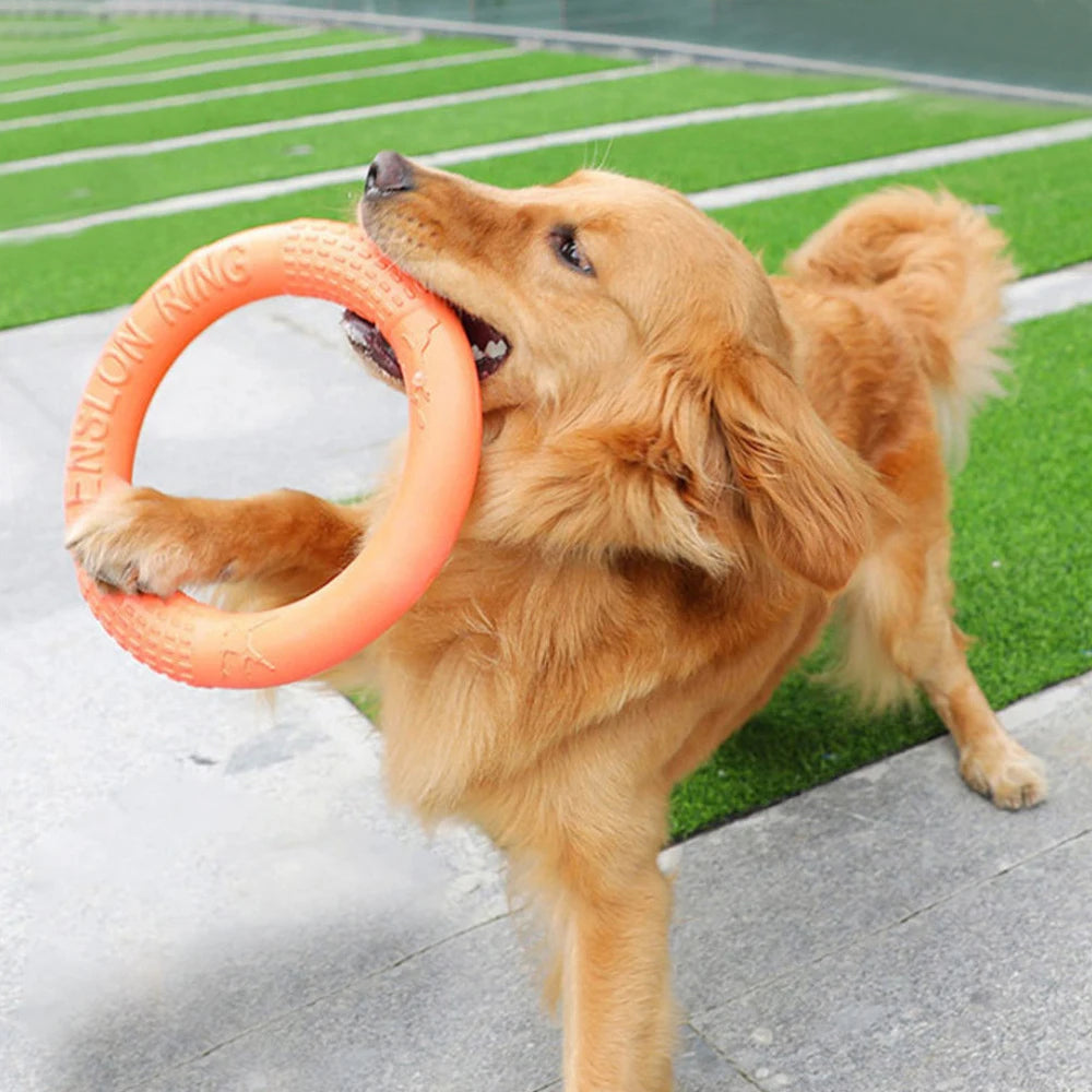 EVA Interactive Ring Puller Flying Disk for Dogs