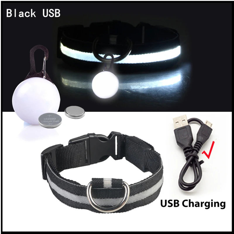 Usb Charging Glowing Dog Collar With Pendant Led Light Safety