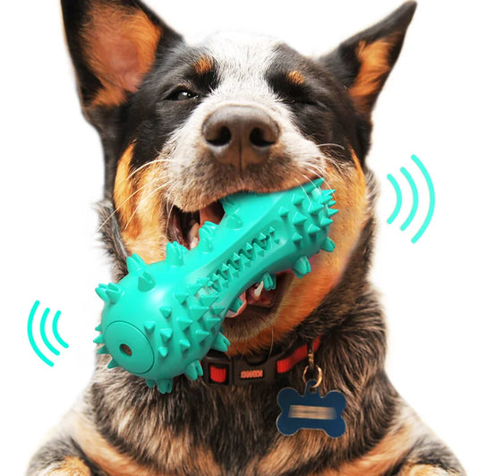 Durable Rubber Dog Chew Toys For Aggressive Chewers
