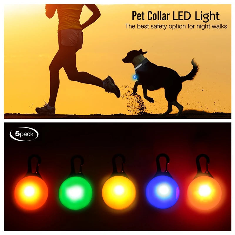 Usb Charging Glowing Dog Collar With Pendant Led Light Safety
