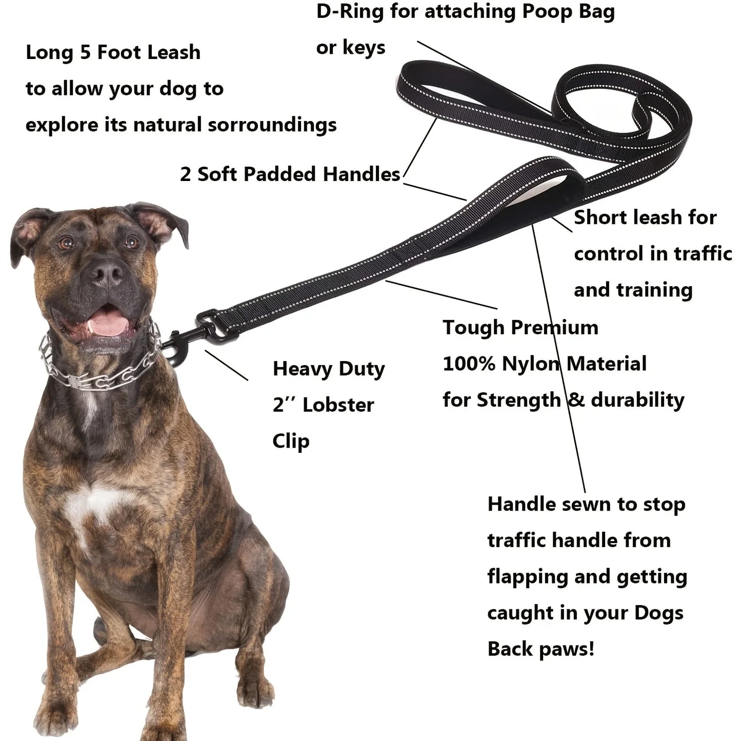 Dog Leash Outdoor Training Dual Handle Heavy Duty Lead