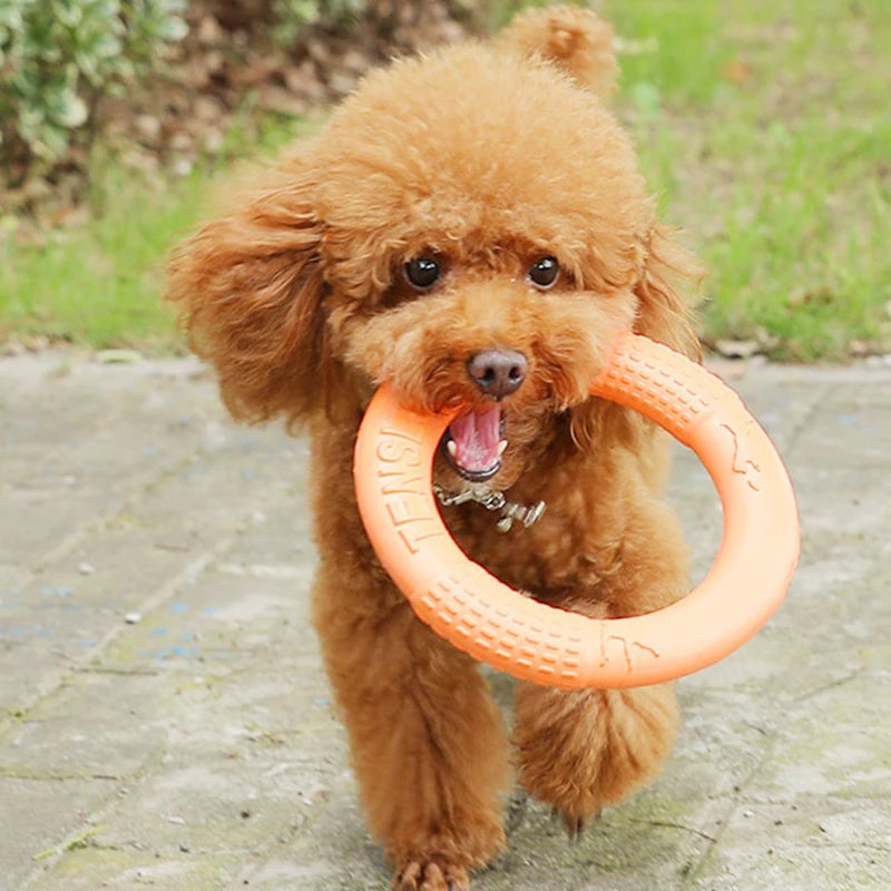EVA Interactive Ring Puller Flying Disk for Dogs