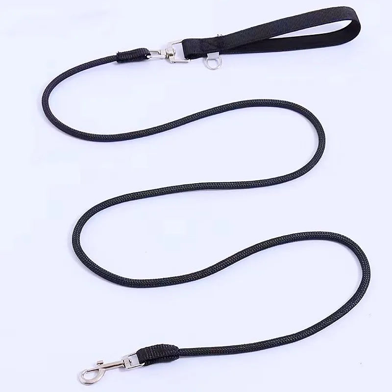 Nylon Dog Leash With Padded Handle For Comfortable Walks