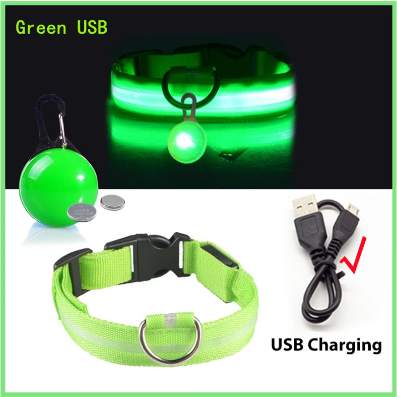 Usb Charging Glowing Dog Collar With Pendant Led Light Safety