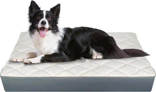 Orthopedic Memory Foam Dog Bed With Waterproof Faux Leather