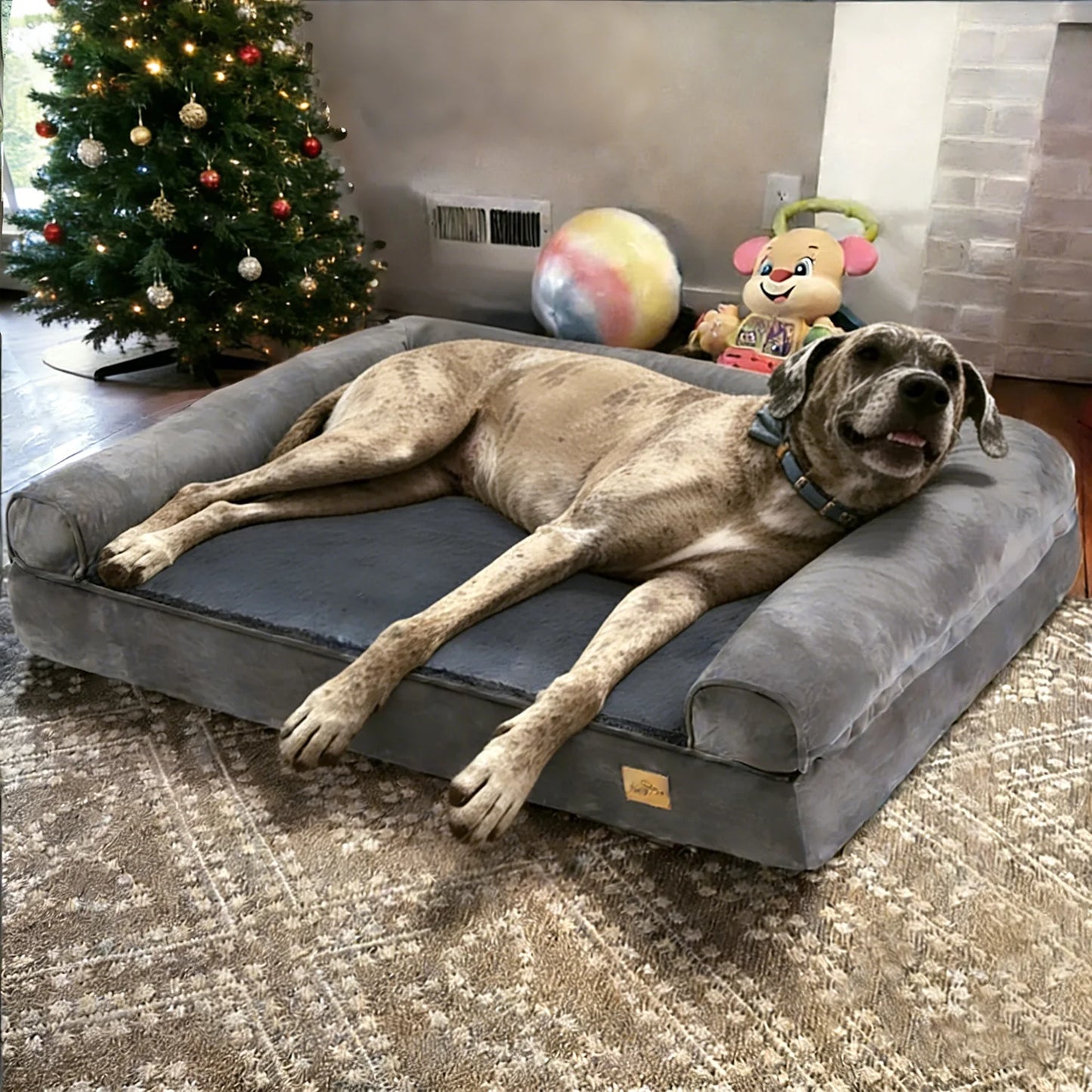 BORWART Calming Orthopedic Memory Foam Dog Bed with Waterproof Cover