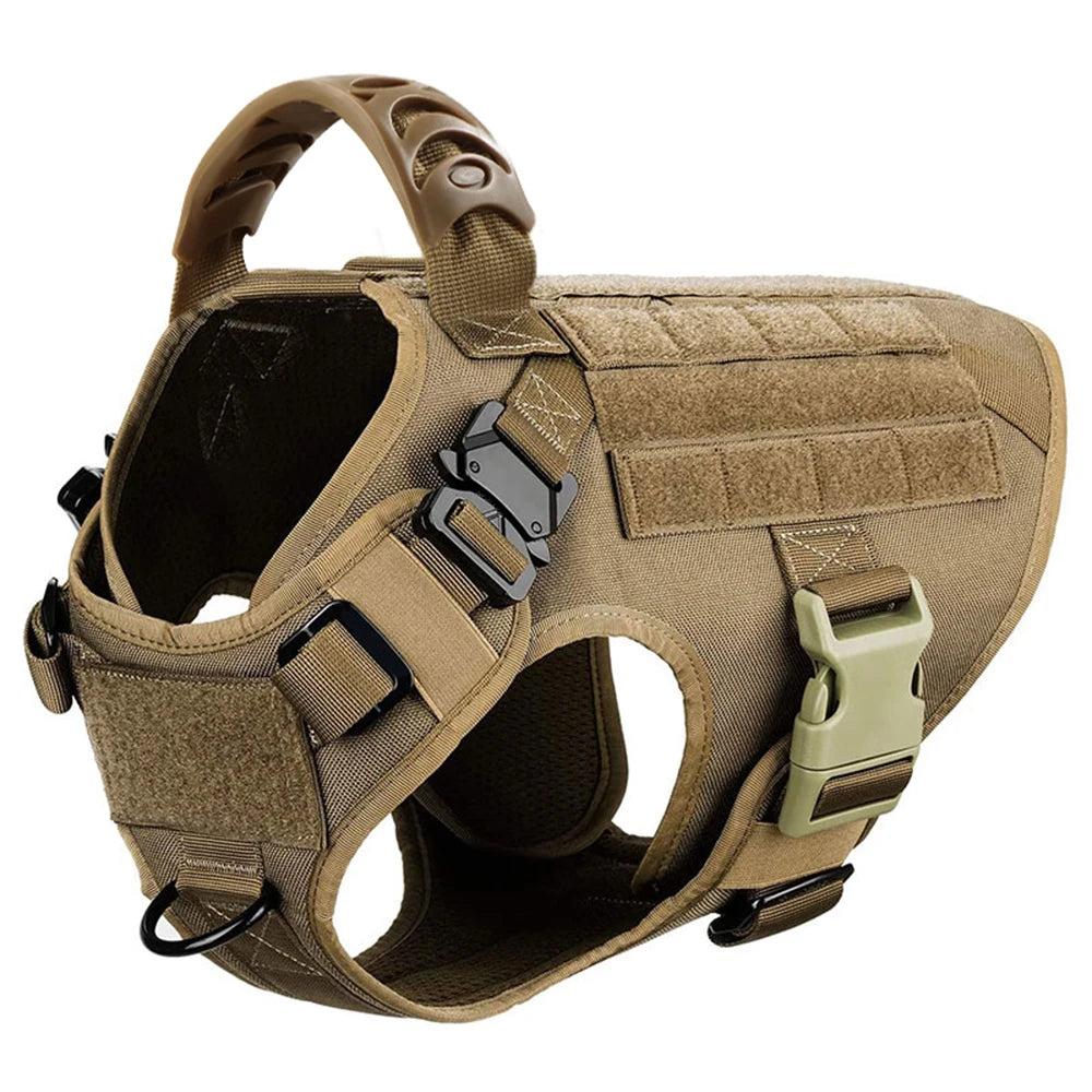 Dog Harness And Leash Set For Training And Walking