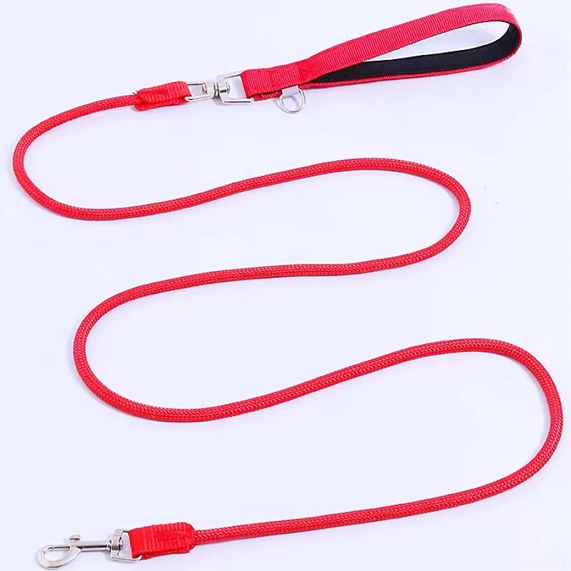 Nylon Dog Leash With Padded Handle For Comfortable Walks