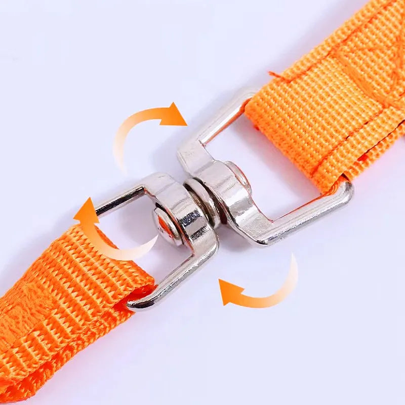 Nylon Dog Leash With Padded Handle For Comfortable Walks