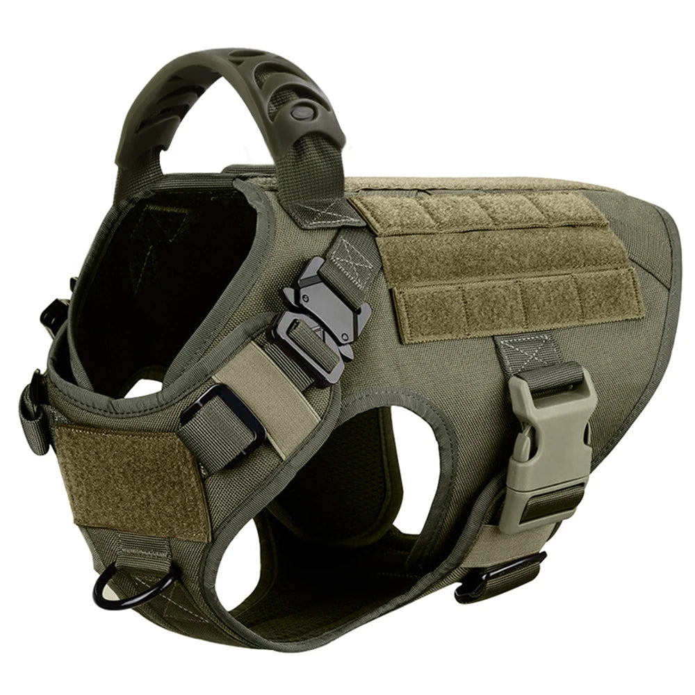 Dog Harness And Leash Set For Training And Walking