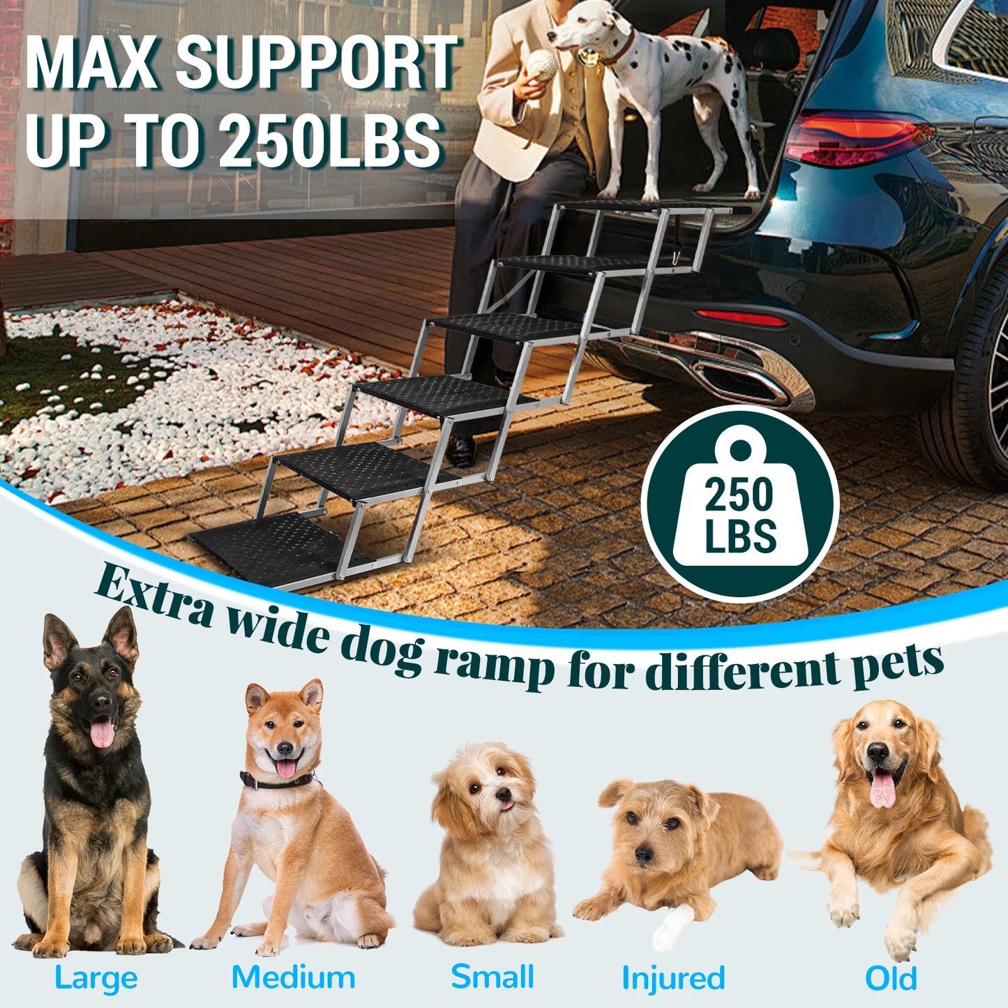 Adjustable Foldable Dog Stairs Set For Cars, SUVs Stainless-Steel