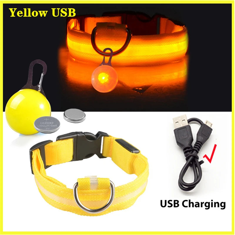 Usb Charging Glowing Dog Collar With Pendant Led Light Safety