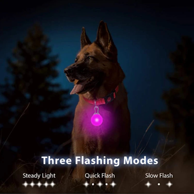 Usb Charging Glowing Dog Collar With Pendant Led Light Safety