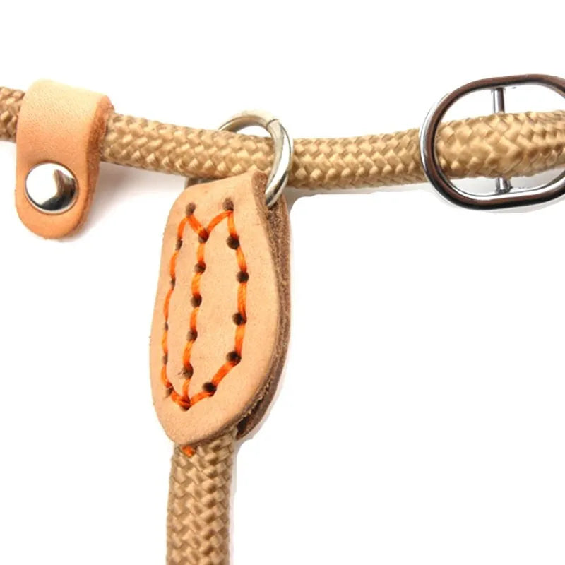 Dog Leash Slip Rope Lead Heavy Duty Braided Adjustable Loop