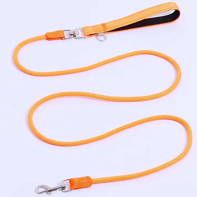 Nylon Dog Leash With Padded Handle For Comfortable Walks