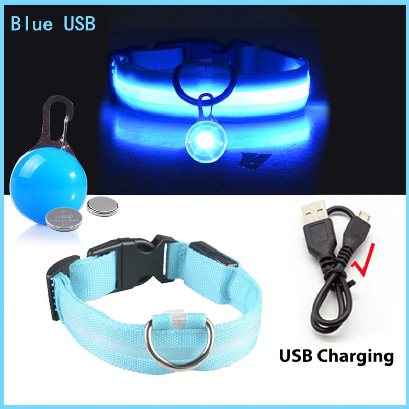 Usb Charging Glowing Dog Collar With Pendant Led Light Safety