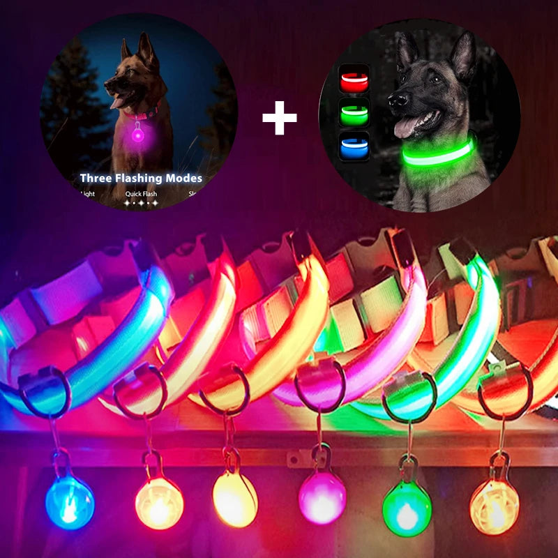 Usb Charging Glowing Dog Collar With Pendant Led Light Safety