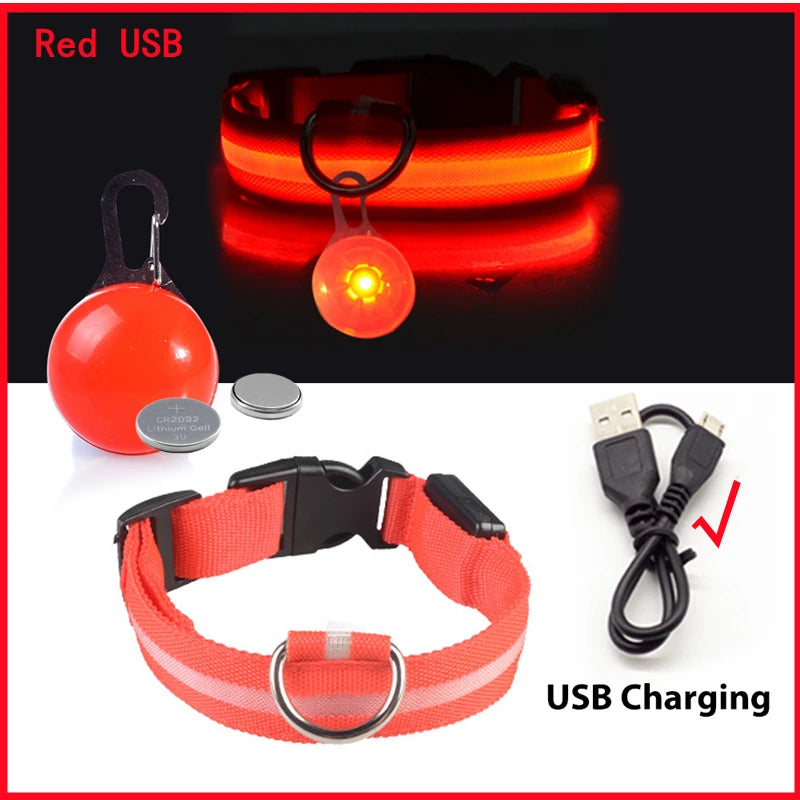 Usb Charging Glowing Dog Collar With Pendant Led Light Safety