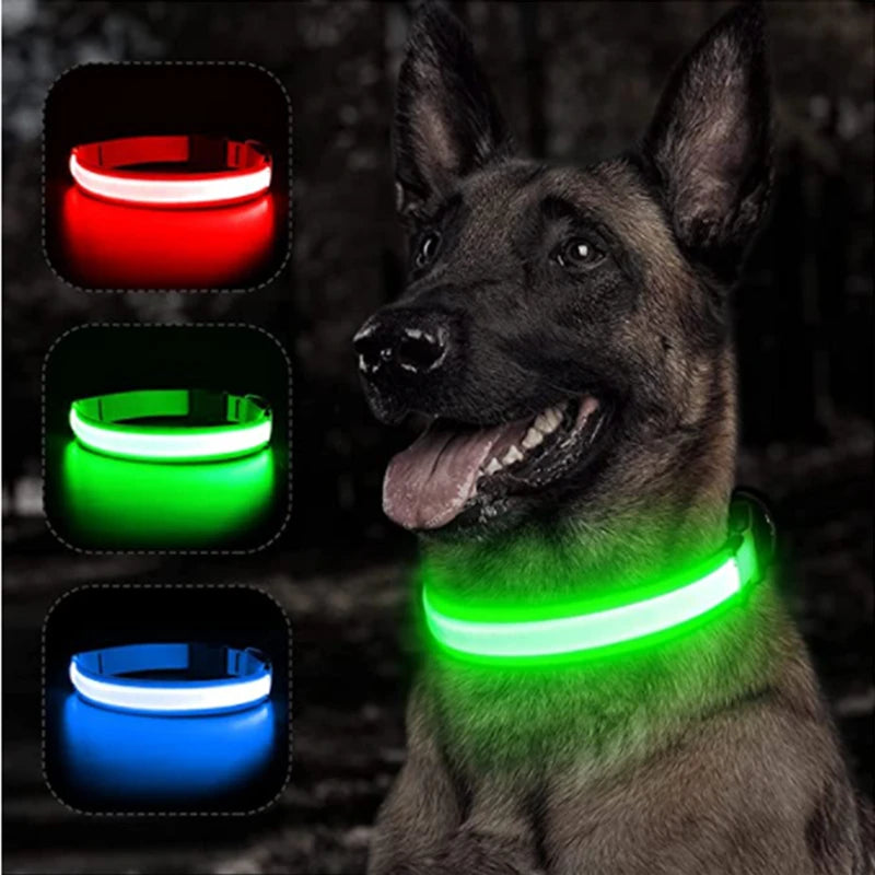 Usb Charging Glowing Dog Collar With Pendant Led Light Safety