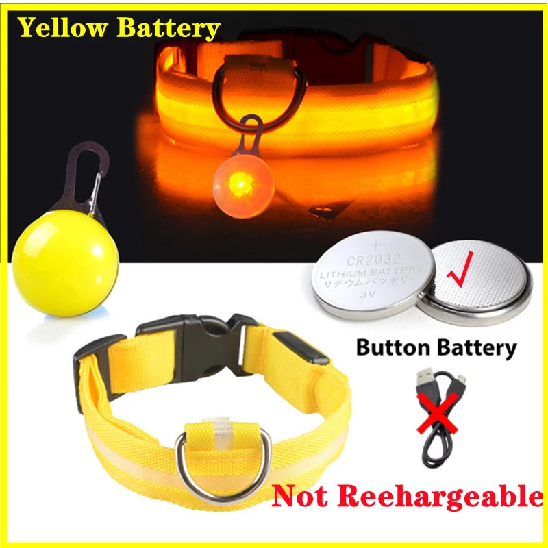 Usb Charging Glowing Dog Collar With Pendant Led Light Safety