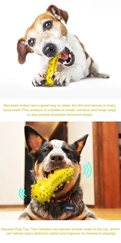 Durable Rubber Dog Chew Toys For Aggressive Chewers