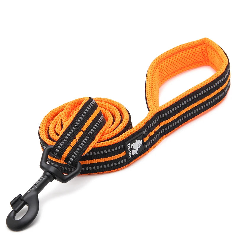 Winhyepet Padded Handle Dog Leash Durable Training For All Dogs