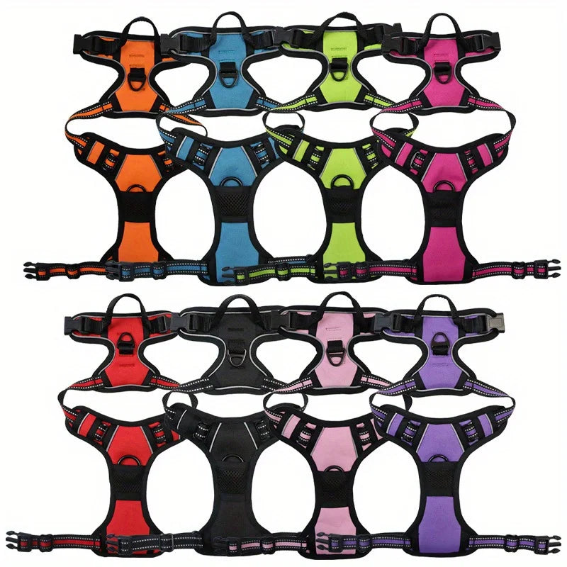 2-Piece Escape-Proof Dog Harness and Leash Set with Waste Bag Dispenser