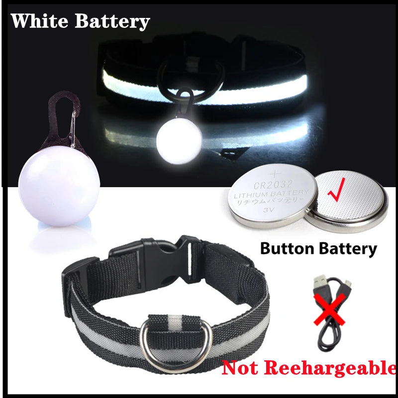 Usb Charging Glowing Dog Collar With Pendant Led Light Safety