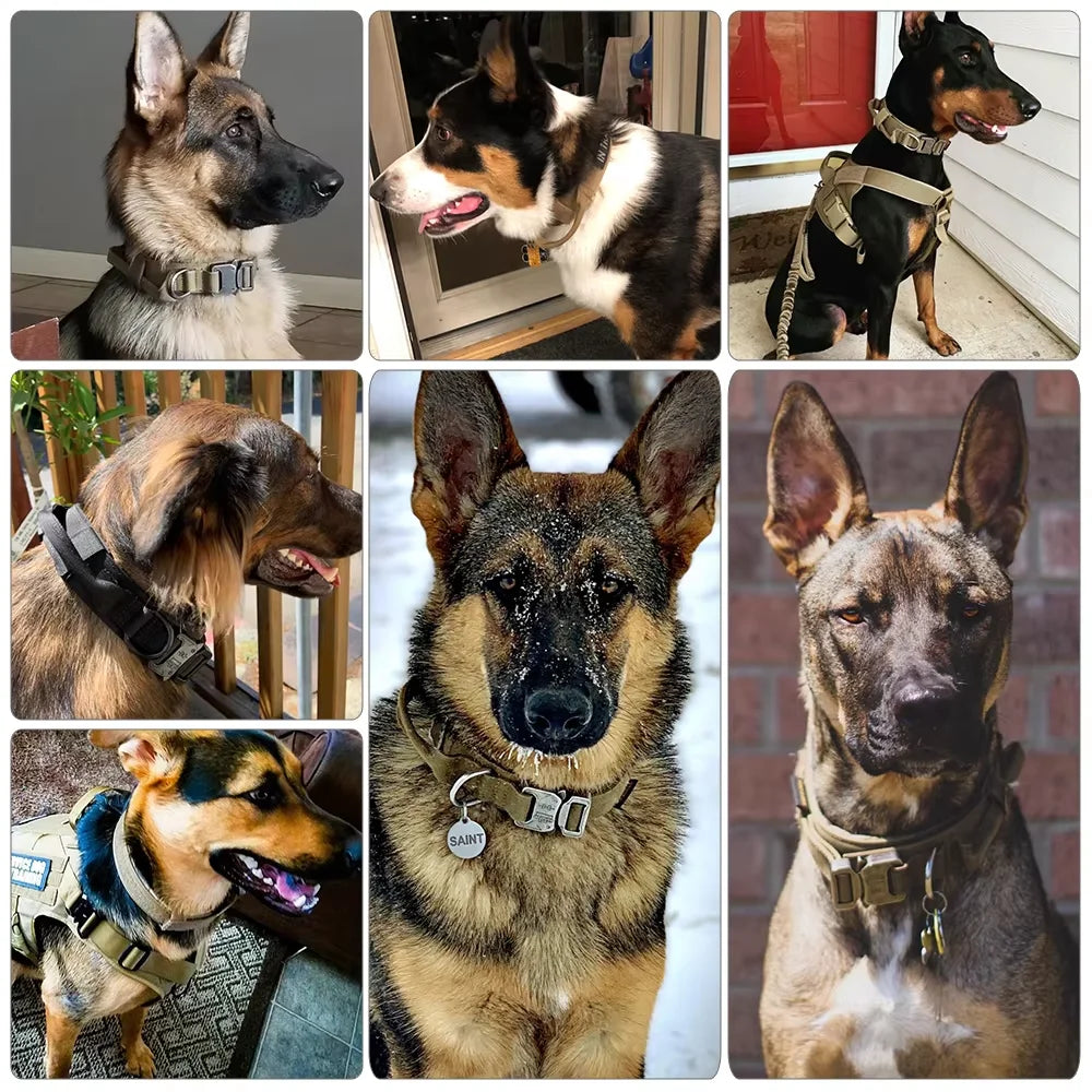 Adjustable Tactical Dog Harness And Nylon Collar Set For Dogs