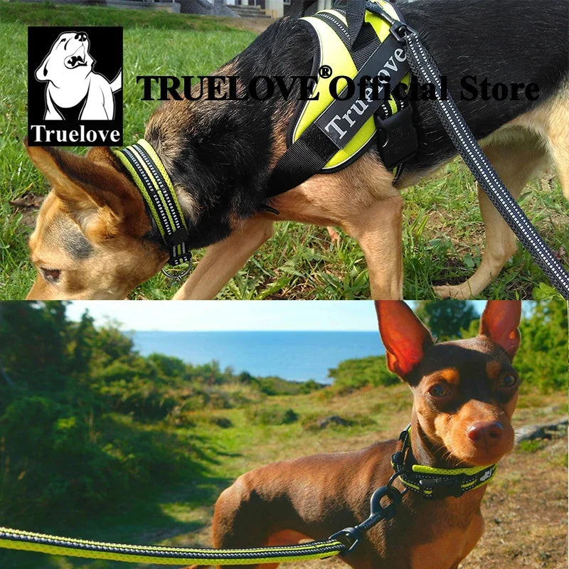 TrueLove Nylon Adjustable Dog Collar Padded Reflective Heavy Duty Training