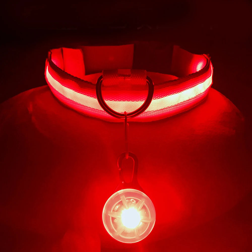 Usb Charging Glowing Dog Collar With Pendant Led Light Safety