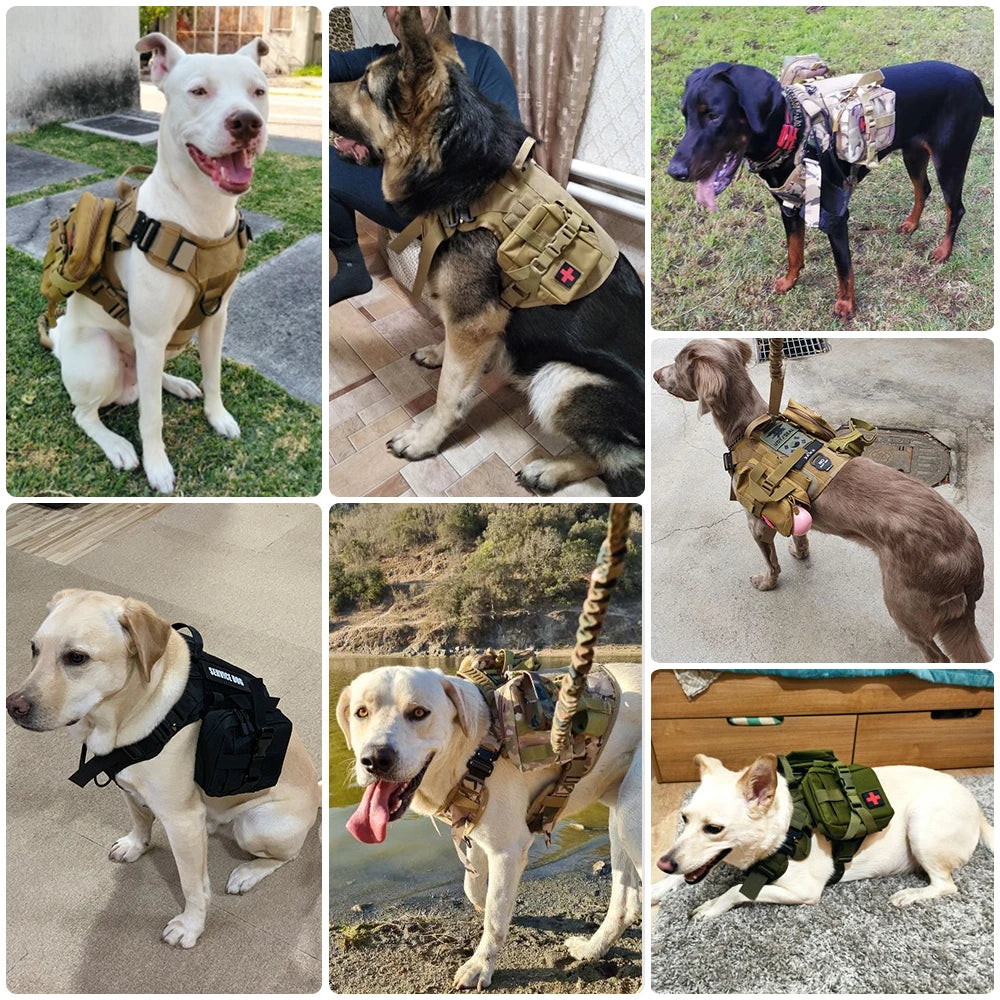 Tactical Dog Harness Leash Set For Large Dogs Training