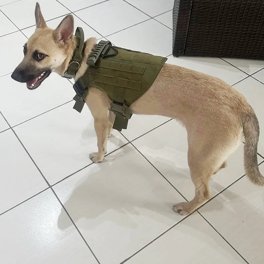 Adjustable Tactical Dog Harness And Nylon Collar Set For Dogs