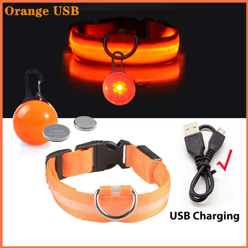 Usb Charging Glowing Dog Collar With Pendant Led Light Safety