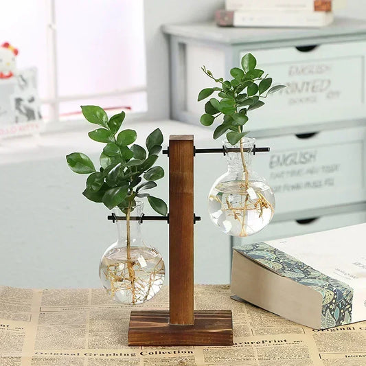 Terrarium Hydroponic Plant Vase With Wooden Frame Glass