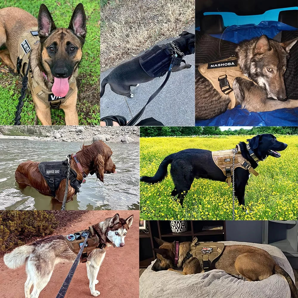 Military Style Large Dog Harness Vest For Malinois Training
