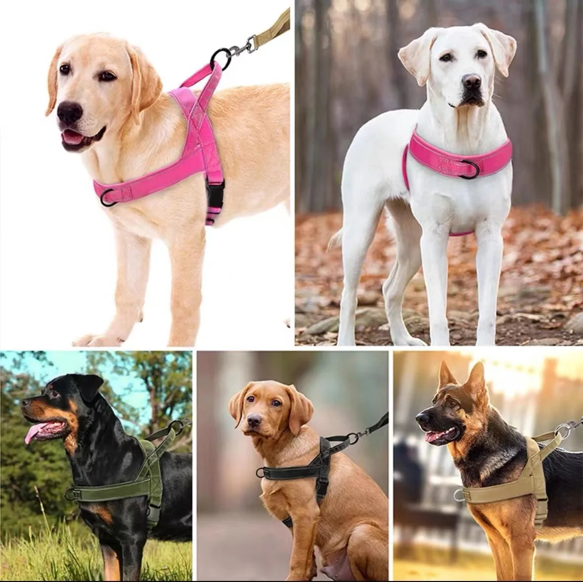 Explosion Proof Tactical Dog Harness Vest For Traction