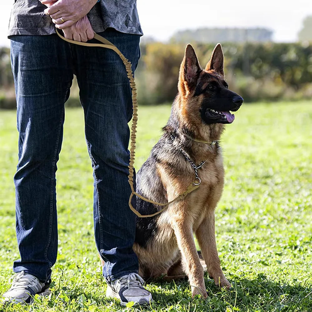 Military Style Dog Leash With Adjustable Length And Quick Release Elastic Rope