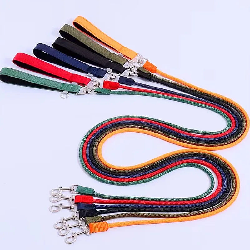 Nylon Dog Leash With Padded Handle For Comfortable Walks